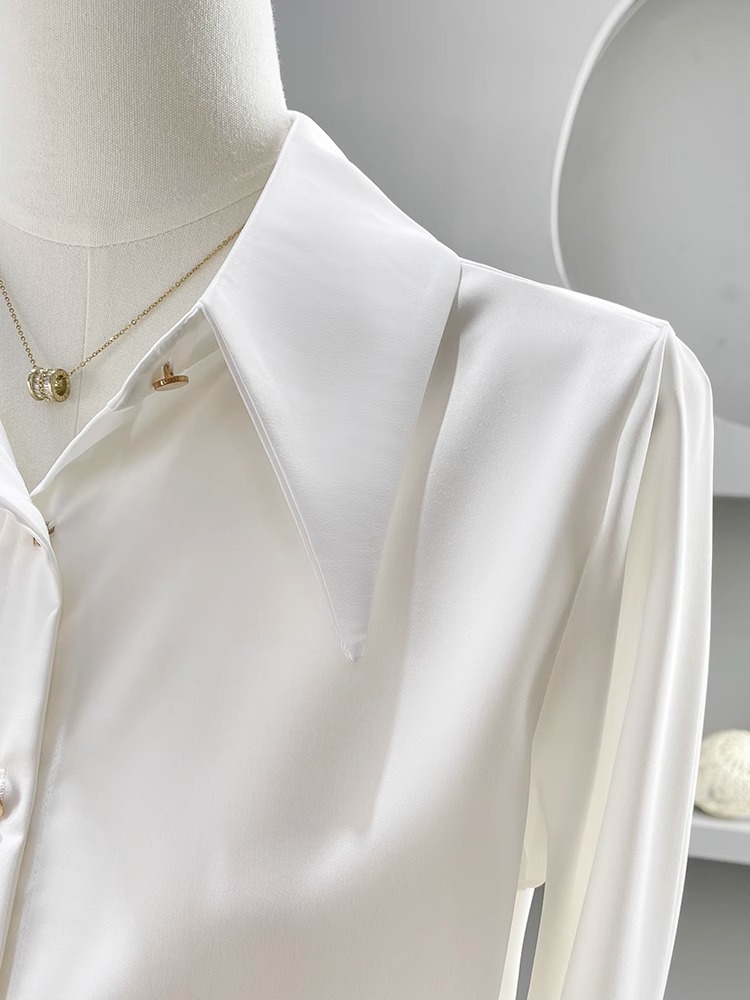 Long Sleeve Shirts Womens Chif - Women Formal Wear Korean review and price